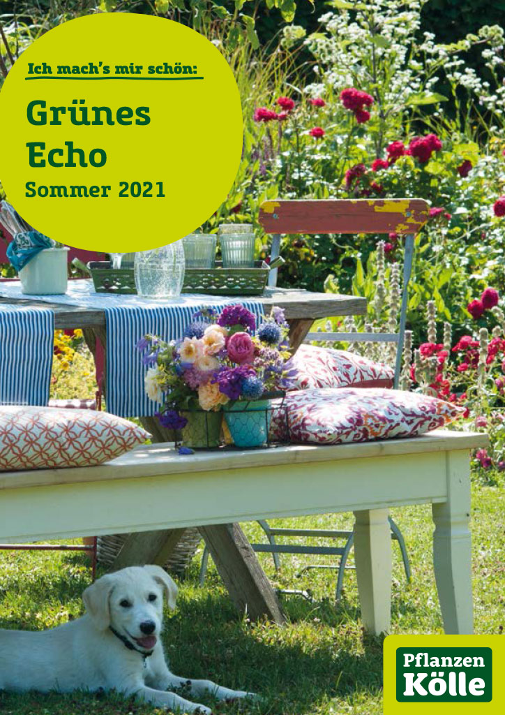 Grünes Echo Mitarbeitermagazin der PflanzenKölle Gartencenter GmbH & Co. KG Grünes Echo Mitarbeitermagazin der PflanzenKölle Gartencenter GmbH & Co. KG