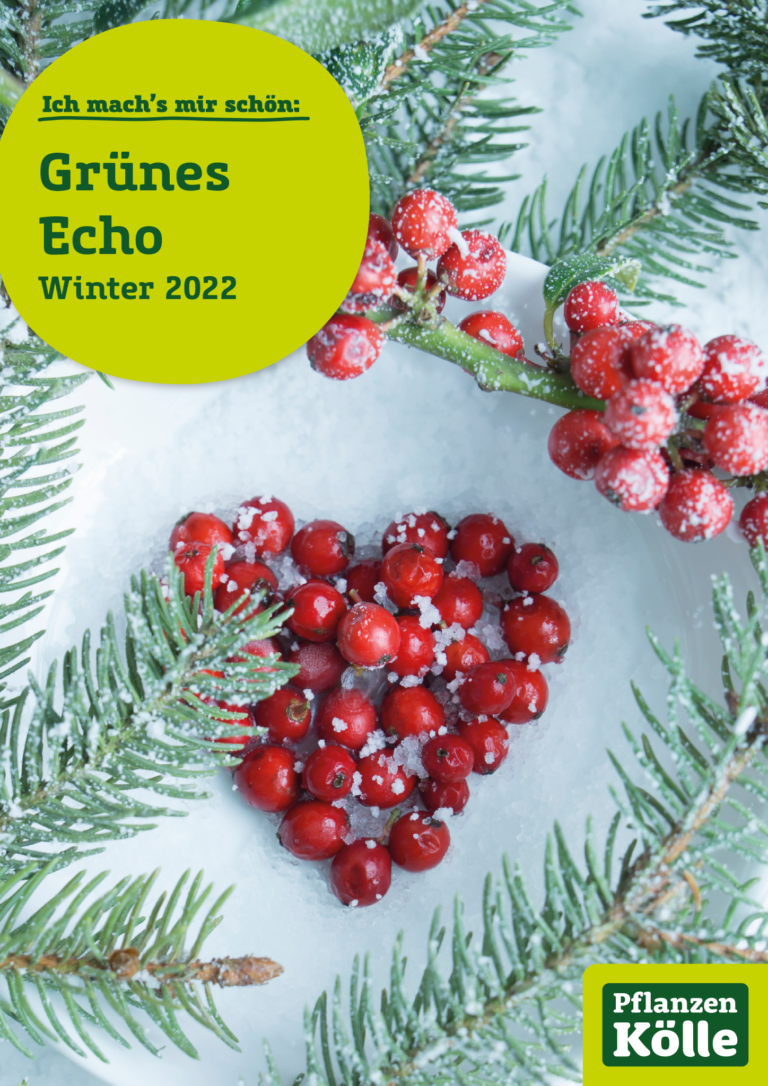 Grünes Echo Mitarbeitermagazin der PflanzenKölle Gartencenter GmbH & Co. KG Grünes Echo Mitarbeitermagazin der PflanzenKölle Gartencenter GmbH & Co. KG